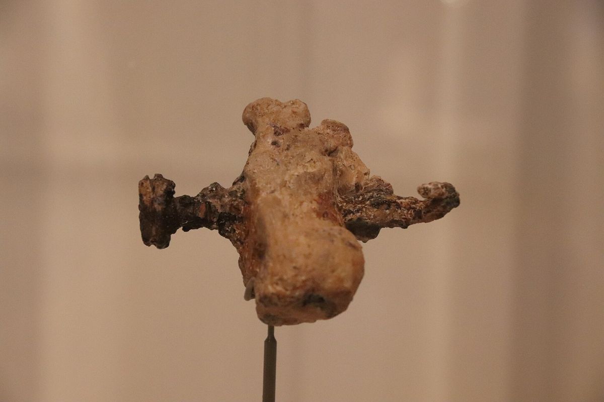 The nailed heel bone of Jehohanan, as displayed in the Israel Museum.