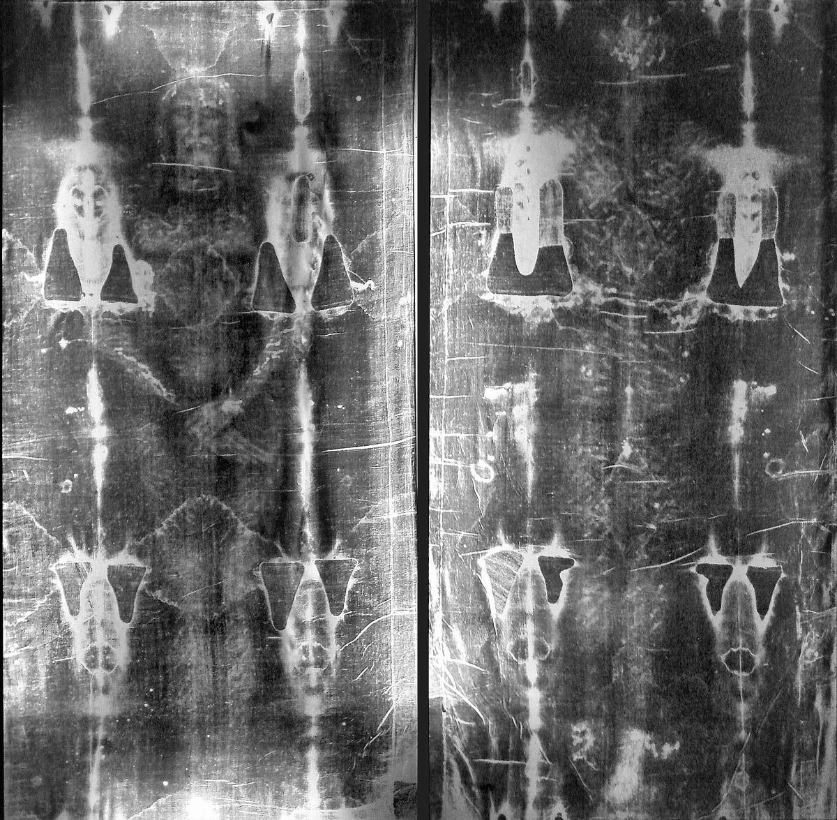 Full-length negatives of the Shroud of Turin.